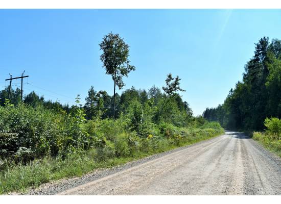 Laimes paugurs, Ķekava by labamaja